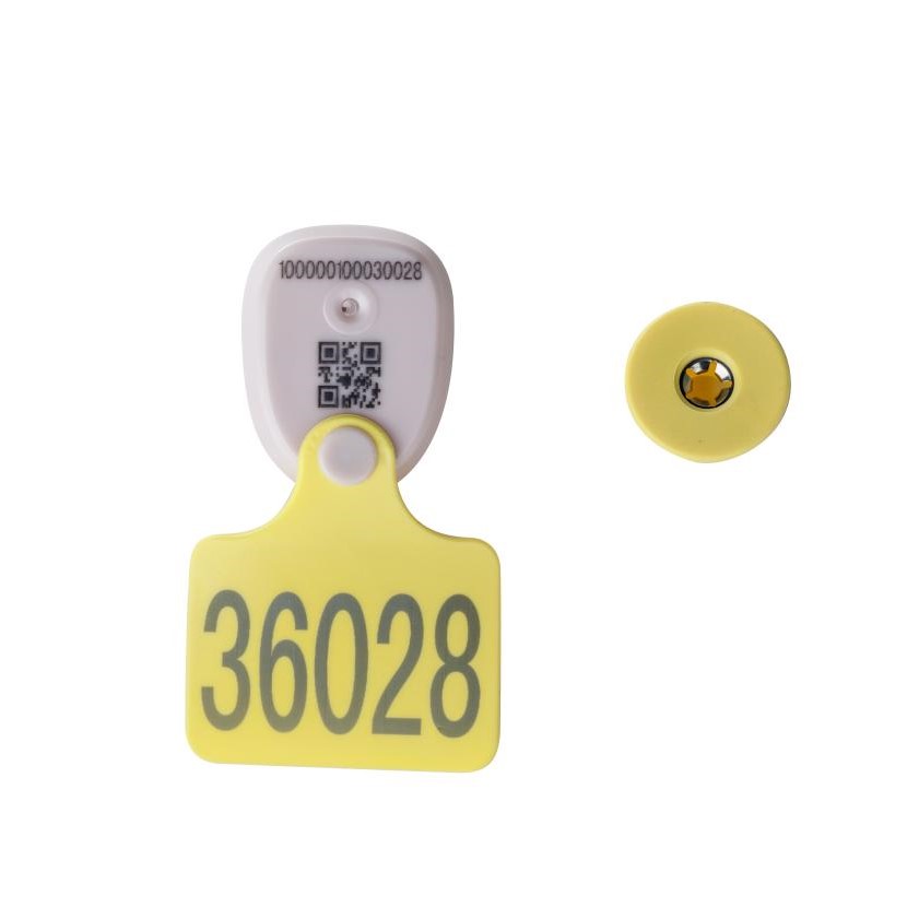 2.4G active animal ear tags